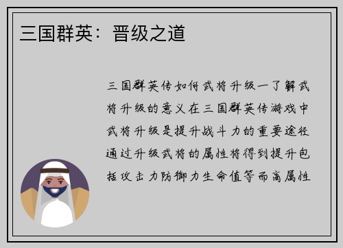 三国群英：晋级之道